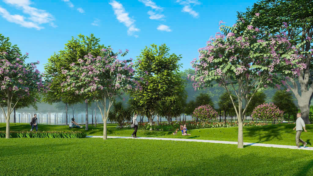 Đất cây xanh 1
