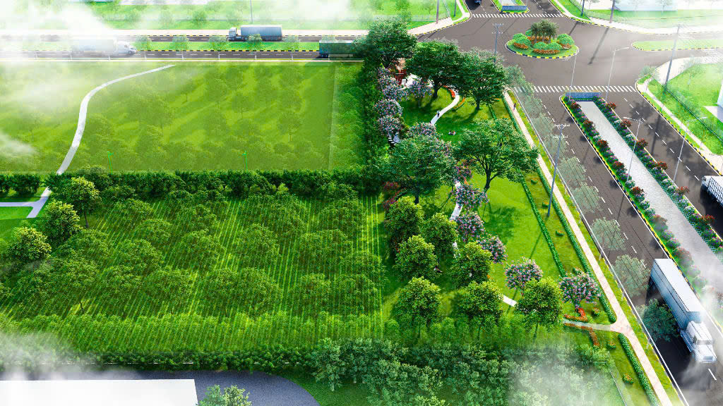 Đất cây xanh 6